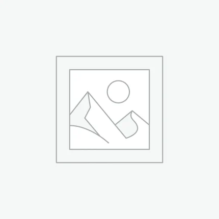 Zástupný symbol